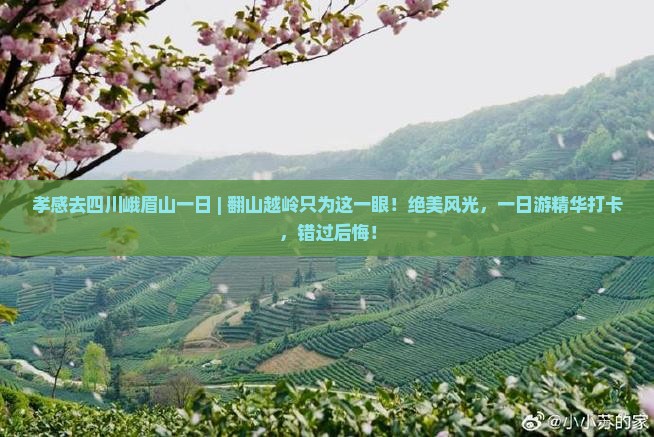 孝感去四川峨眉山一日