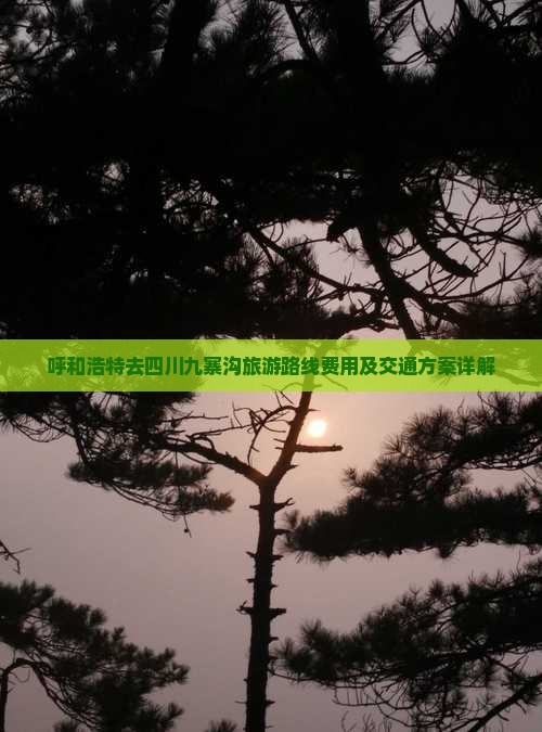 呼和浩特去四川九寨沟旅游