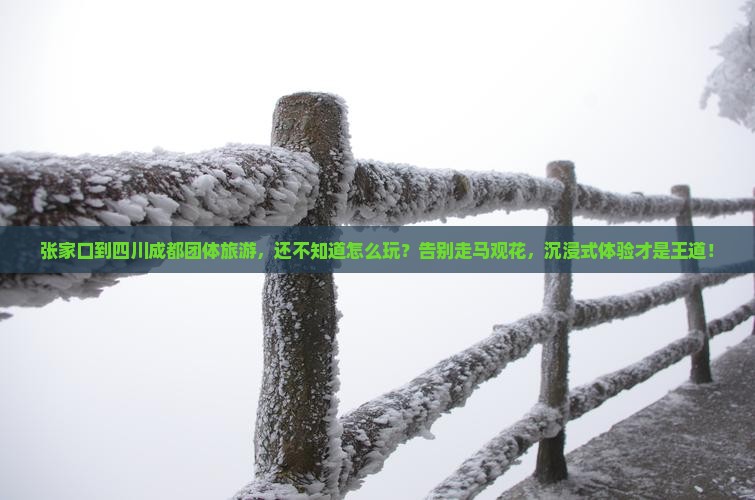 张家口到四川成都团体旅游