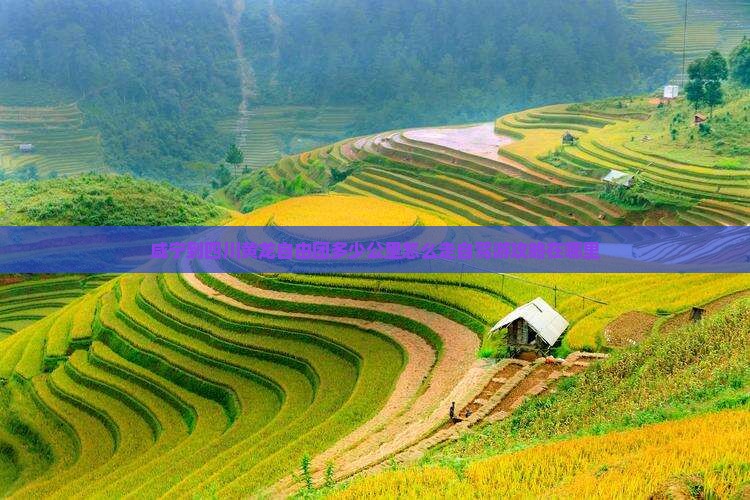咸宁到四川黄龙自由团