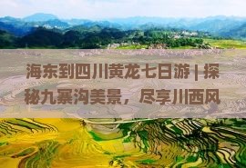 海东到四川黄龙七日游