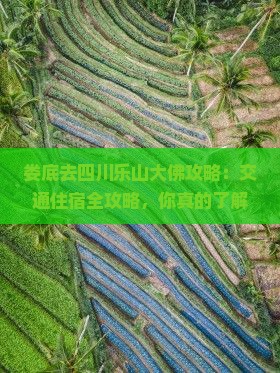 娄底去四川乐山大佛攻略