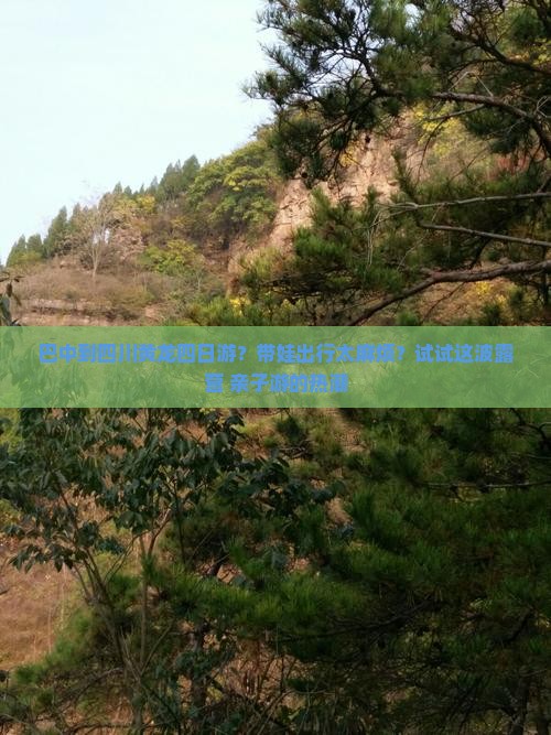 巴中到四川黄龙四日游