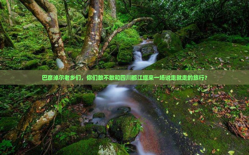 巴彦淖尔去四川都江堰大型旅游团