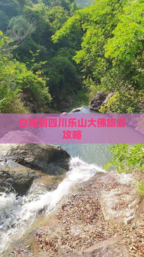白城到四川乐山大佛攻略