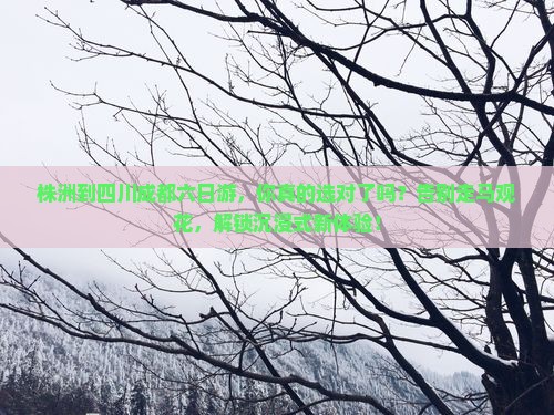 株洲到四川成都六日游