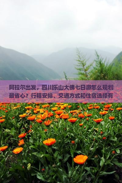 阿拉尔去四川乐山大佛七日游