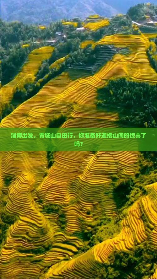 淄博去四川青城山自由团