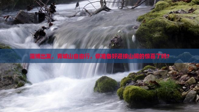 淄博去四川青城山自由团