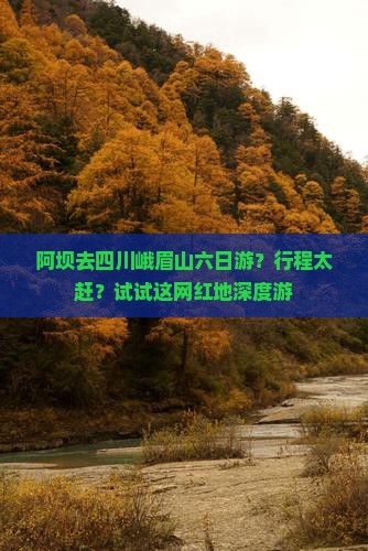 阿坝去四川峨眉山六日游