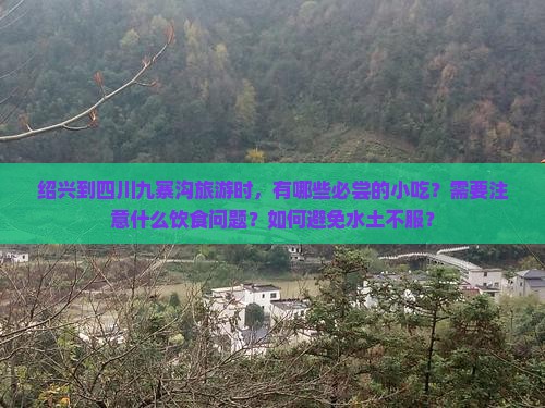 绍兴到四川九寨沟旅游小吃