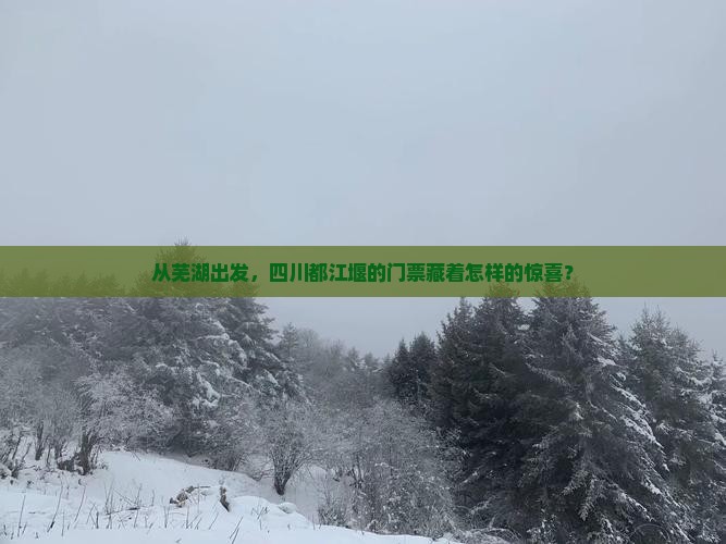 芜湖到四川都江堰门票