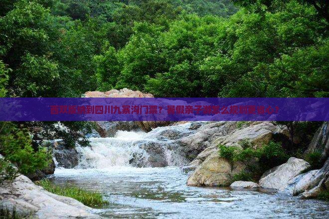 西双版纳到四川九寨沟门票
