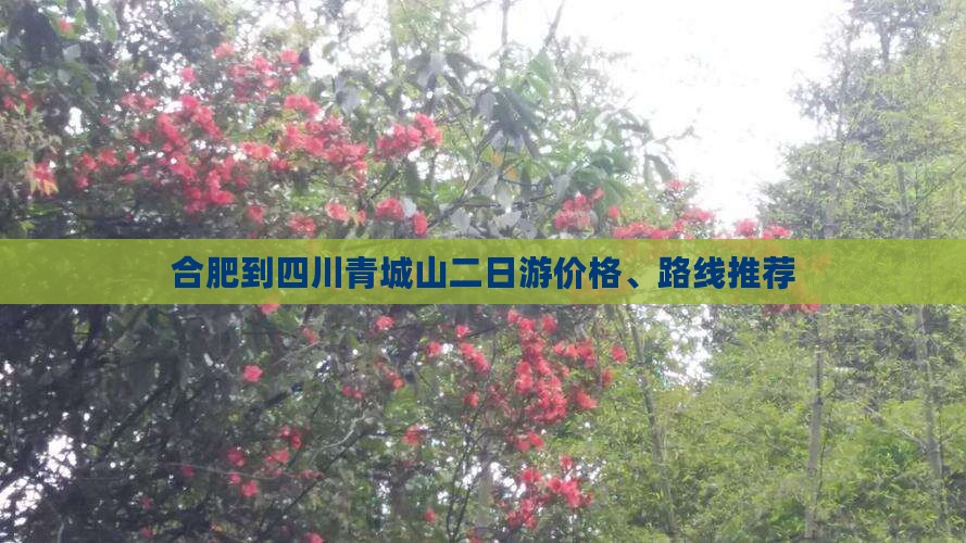 合肥到四川青城山二日游