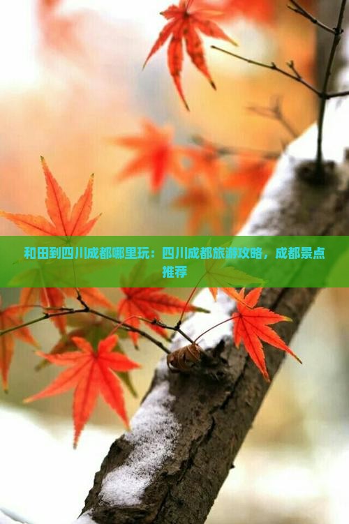 和田到四川成都哪里玩