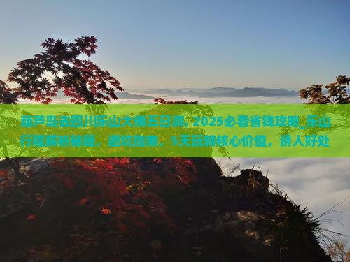 葫芦岛去四川乐山大佛五日游