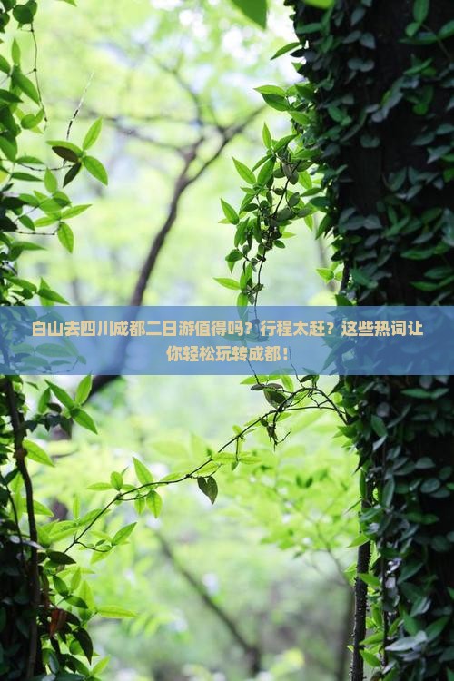 白山去四川成都二日游