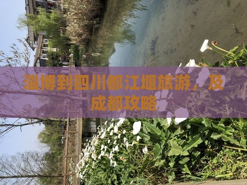 淄博到四川都江堰旅游