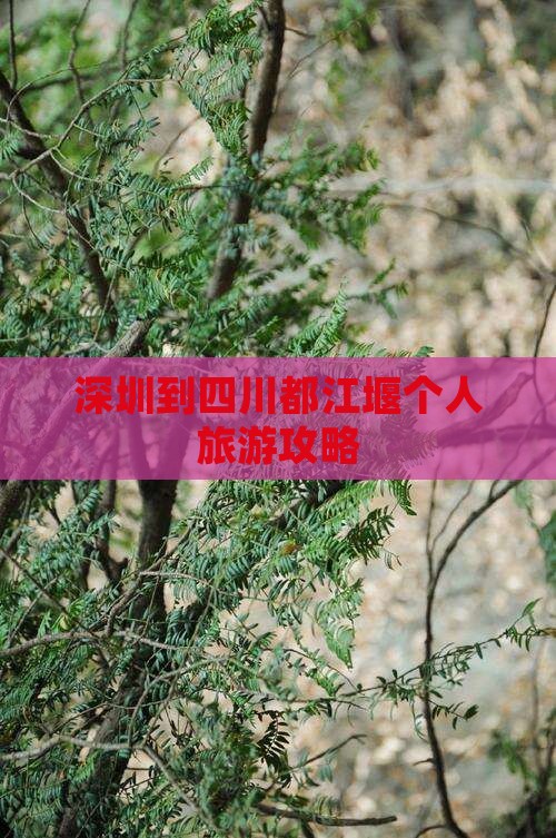 深圳到四川都江堰个人游