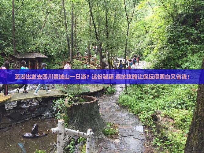 芜湖到四川青城山一日
