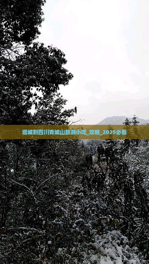 塔城到四川青城山旅游小吃