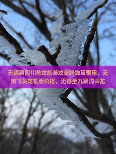无锡到四川黄龙旅游