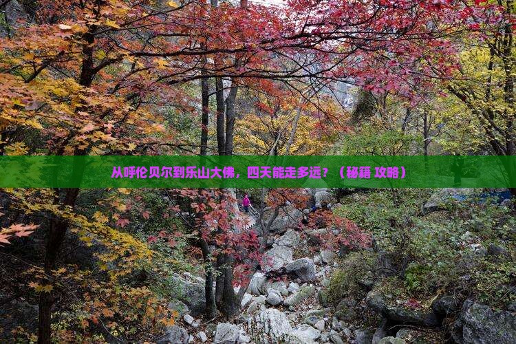 呼伦贝尔去四川乐山大佛四日游