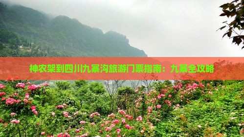 神农架去四川九寨沟门票