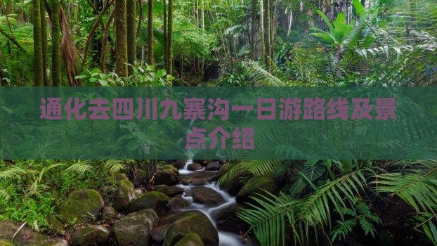 通化去四川九寨沟一日