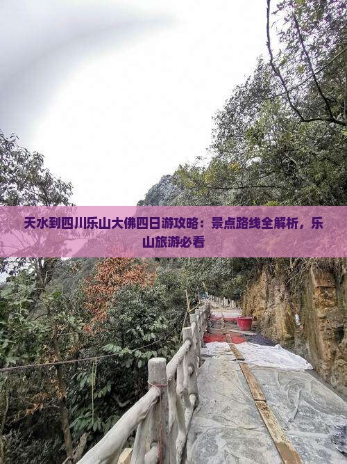 天水到四川乐山大佛四日游