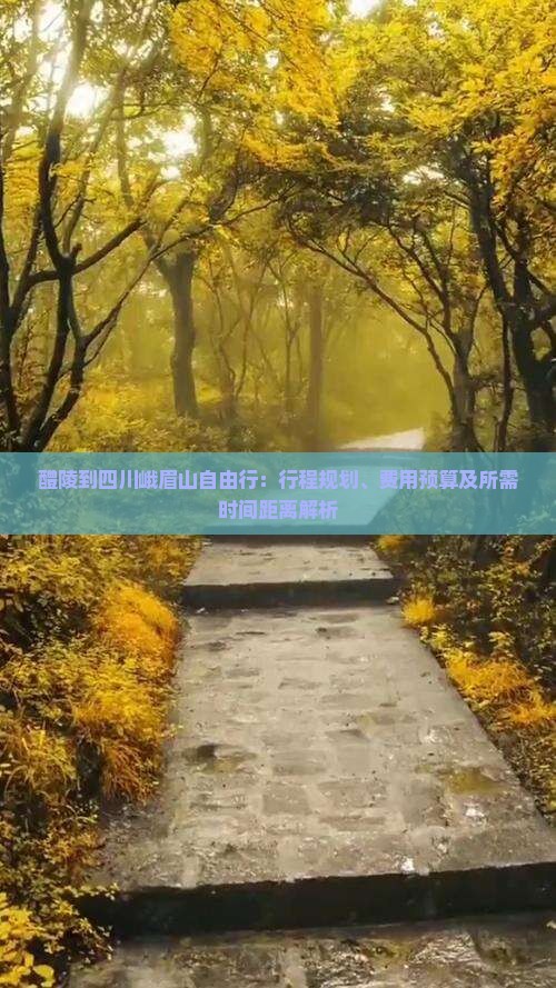 醴陵到四川峨眉山自由行：行程规划、费用预算及所需时间距离解析