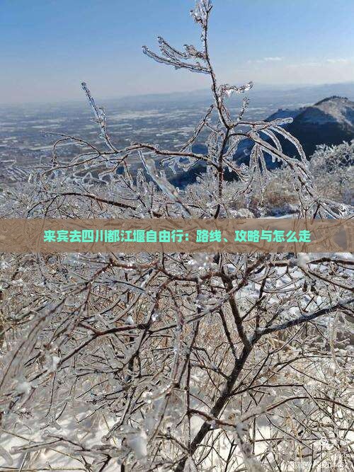 来宾去四川都江堰自由行：路线、攻略与怎么走