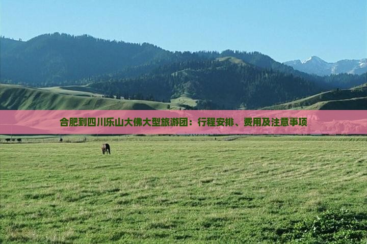 合肥到四川乐山大佛大型旅游团：行程安排、费用及注意事项