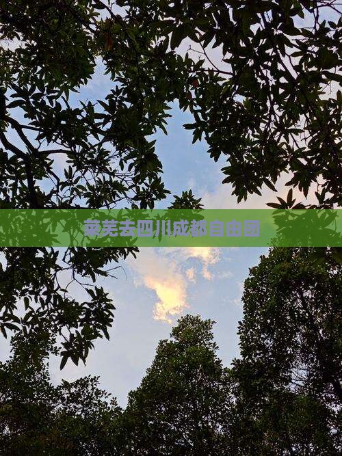 莱芜去四川成都自由团