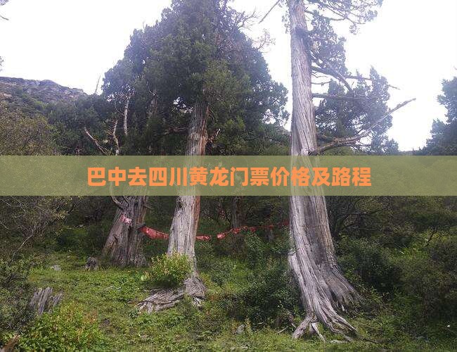 巴中去四川黄龙门票价格及路程