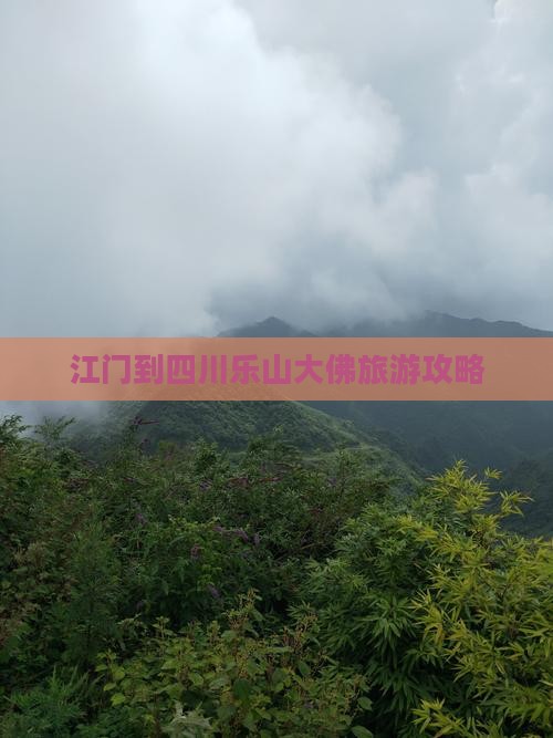 江门到四川乐山大佛旅游攻略