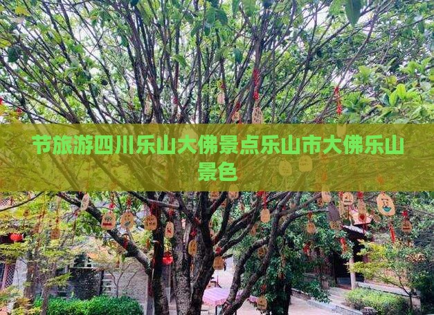 节旅游四川乐山大佛景点乐山市大佛乐山景色