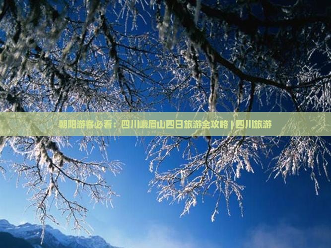 朝阳游客必看：四川峨眉山四日旅游全攻略 | 四川旅游