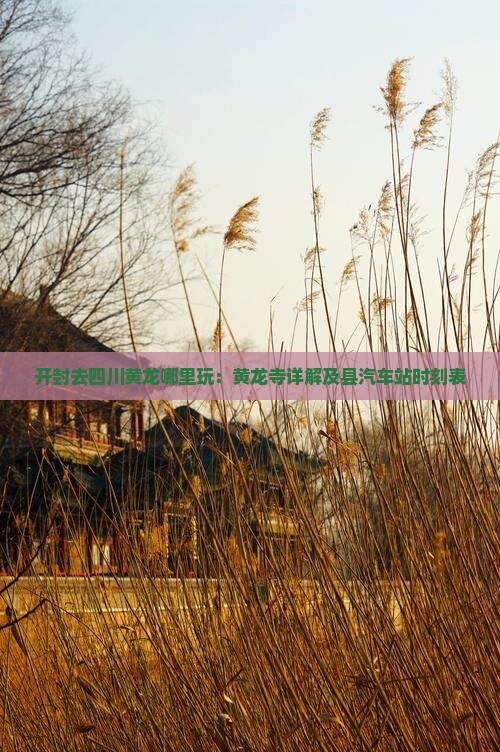 开封去四川黄龙哪里玩：黄龙寺详解及县汽车站时刻表