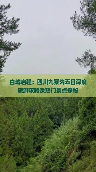 白城启程：四川九寨沟五日深度旅游攻略及热门景点探秘