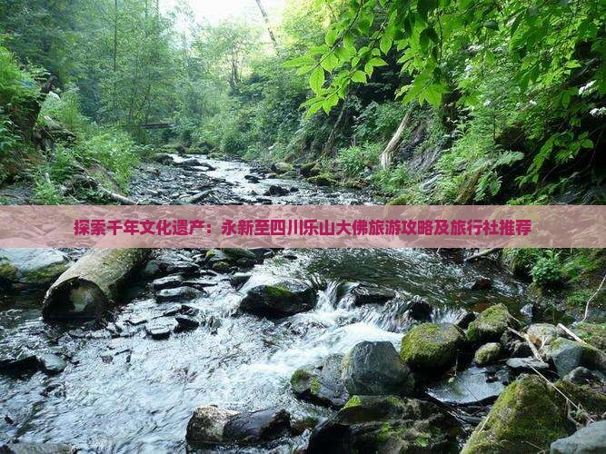 探索千年文化遗产：永新至四川乐山大佛旅游攻略及旅行社推荐