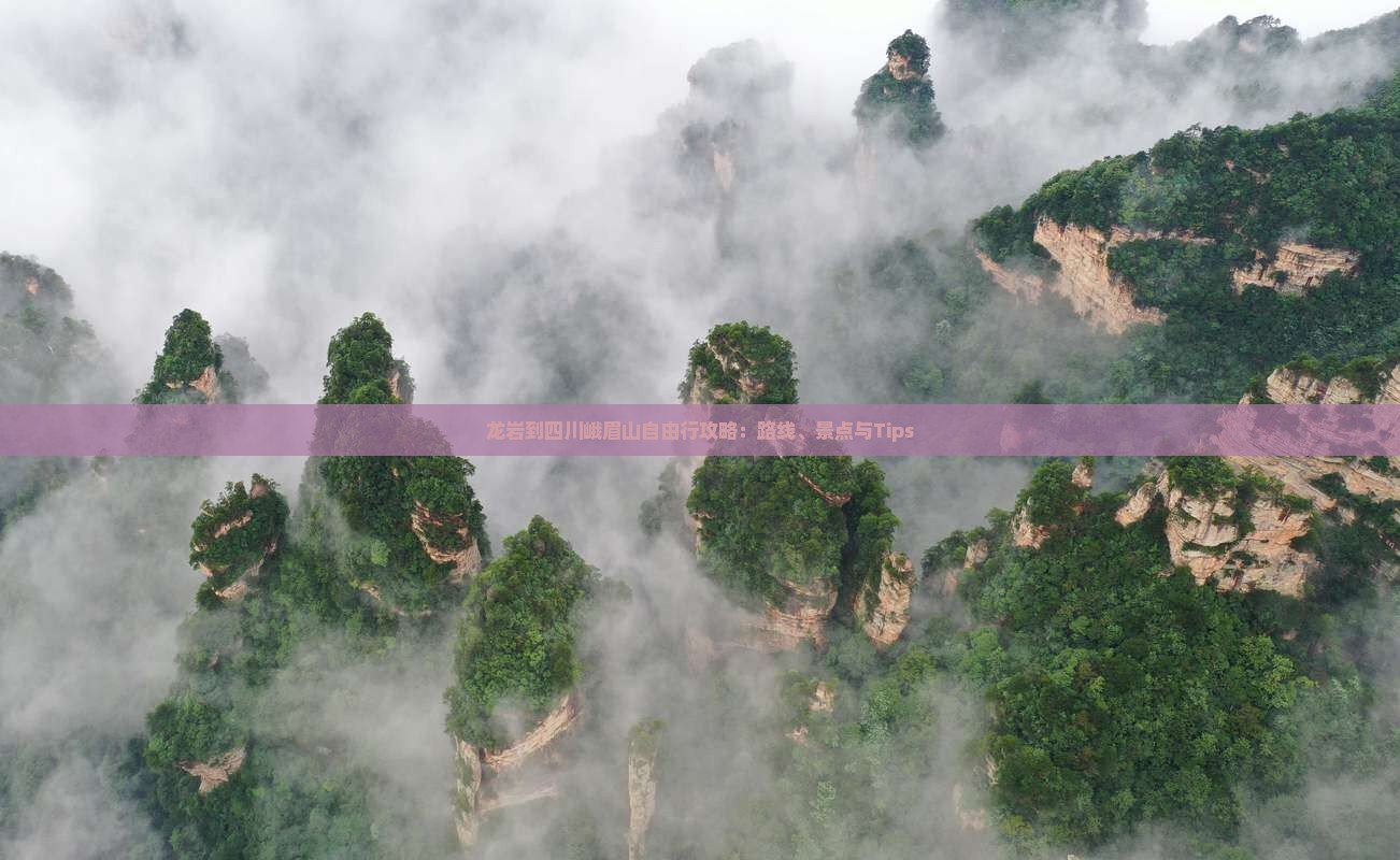 龙岩到四川峨眉山自由行攻略：路线、景点与Tips