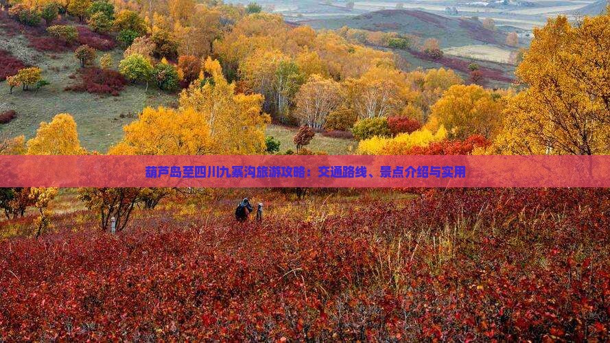 葫芦岛至四川九寨沟旅游攻略：交通路线、景点介绍与实用