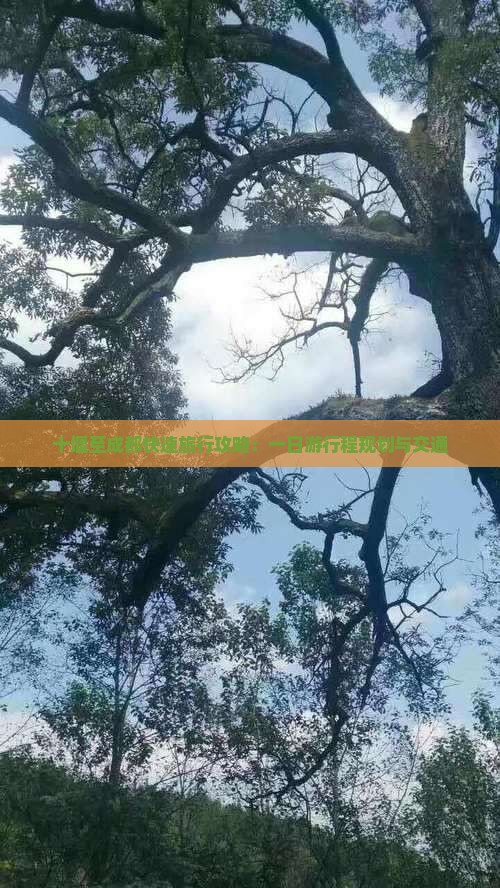 十堰至成都快速旅行攻略：一日游行程规划与交通