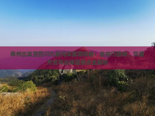 泰州出发至四川九寨沟深度游攻略：自由行路线、交通方式与必体验景点全解析