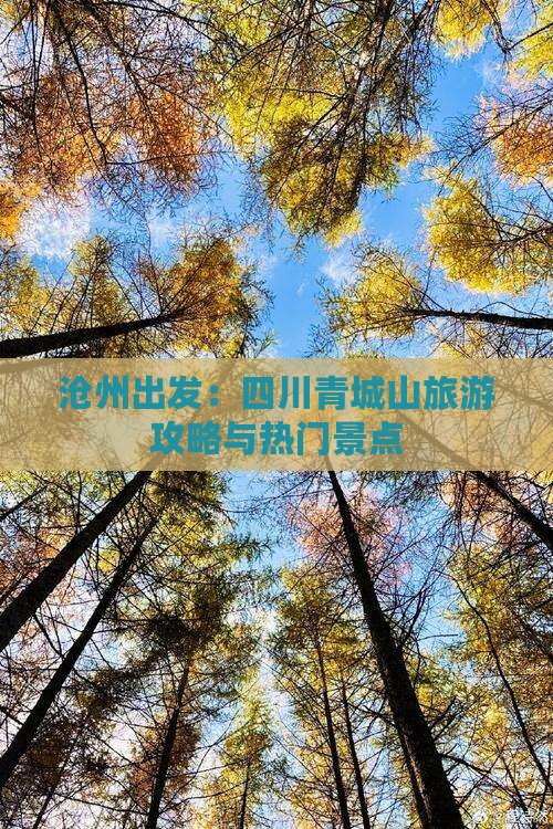 沧州出发：四川青城山旅游攻略与热门景点
