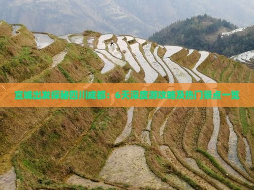 宣城出发探秘四川成都：6天深度游攻略及热门景点一览