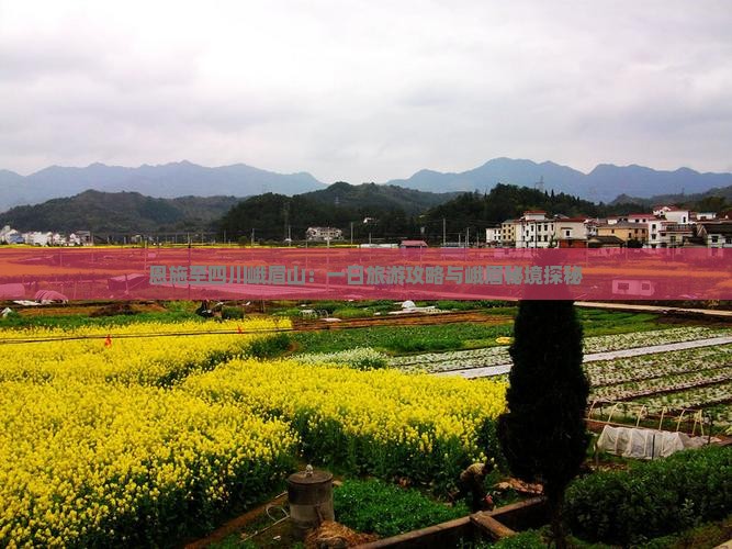 恩施至四川峨眉山：一日旅游攻略与峨眉秘境探秘
