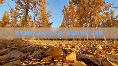 乌海到四川九寨沟个人游：自驾游+查询+公里数