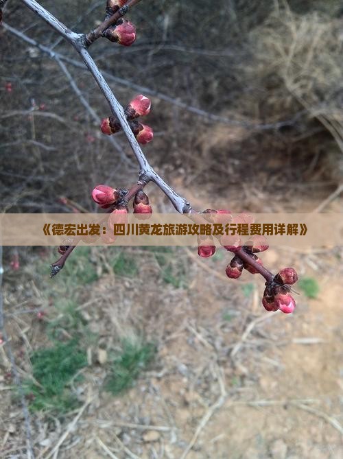 《德宏出发：四川黄龙旅游攻略及行程费用详解》